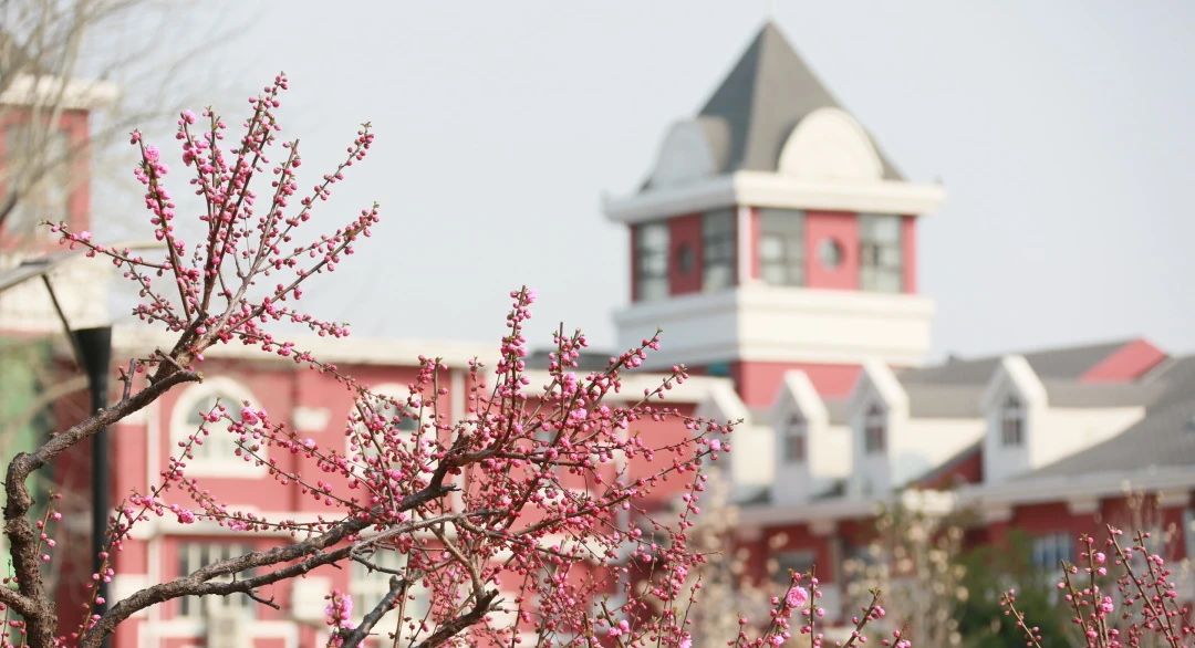 2024年北京爱迪国际学校校园开放日时间定了!可预约!_北京中考在线