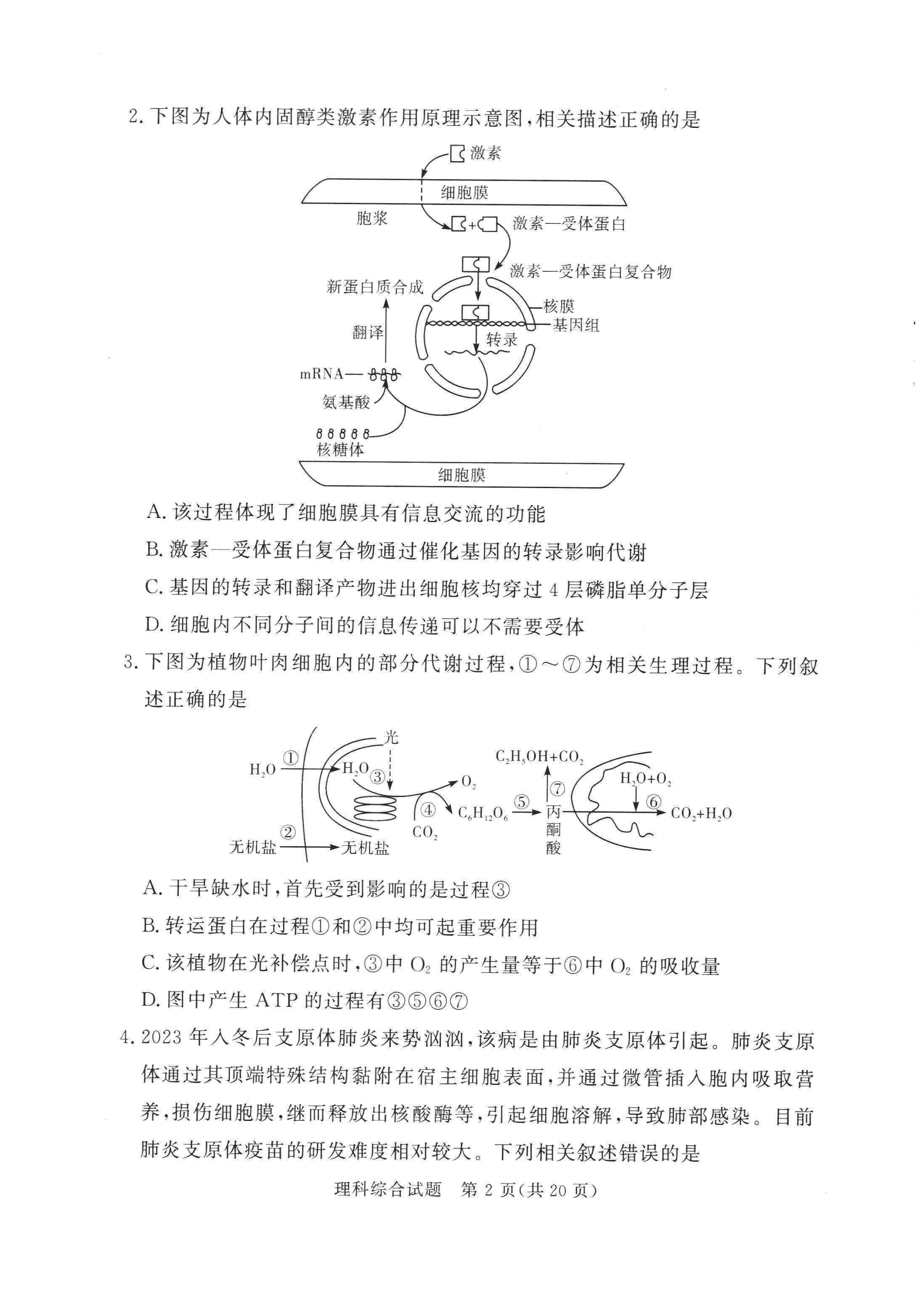 湘豫名校联考2024届高三2月第一次模考理综试题