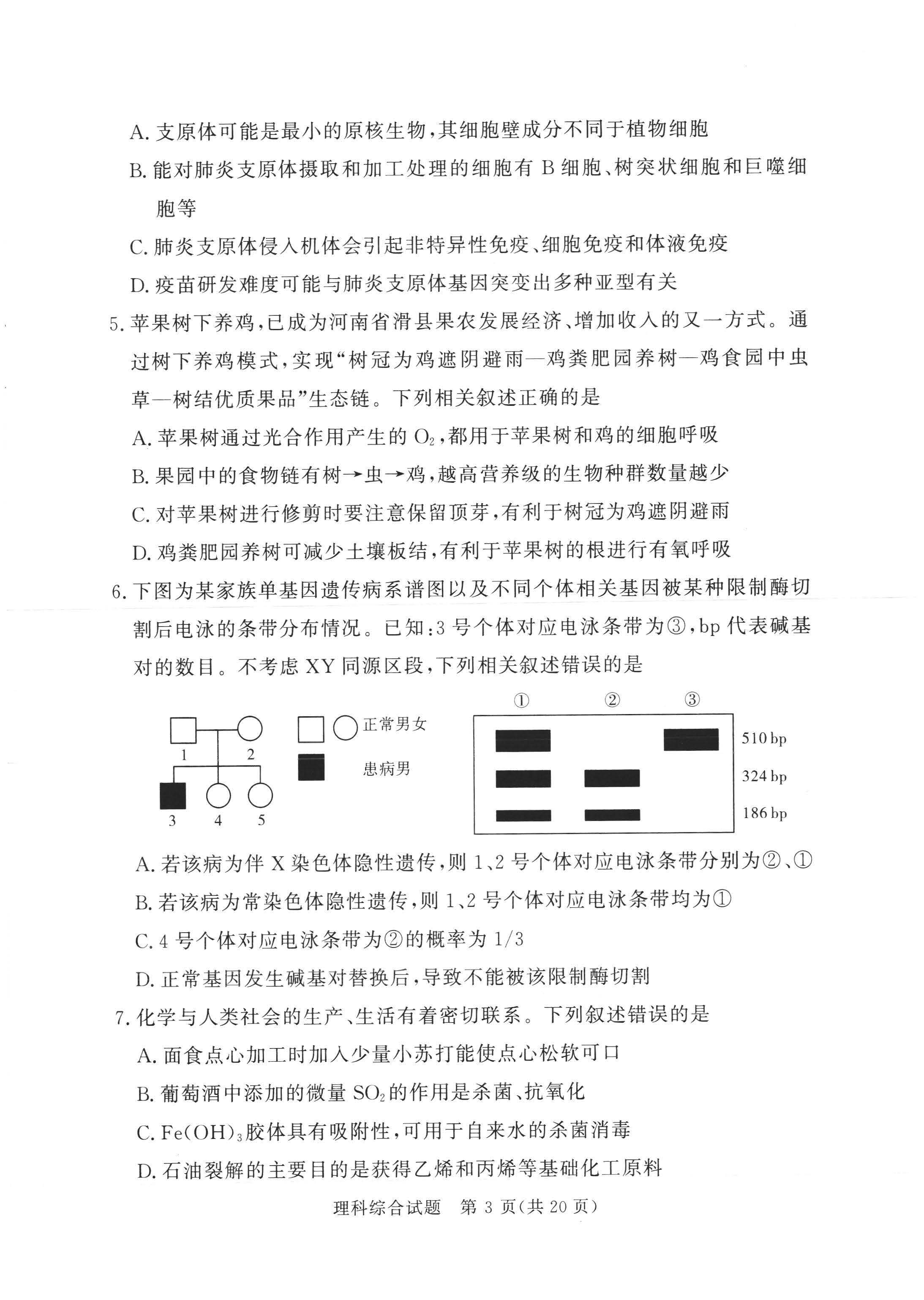 湘豫名校联考2024届高三2月第一次模考理综试题