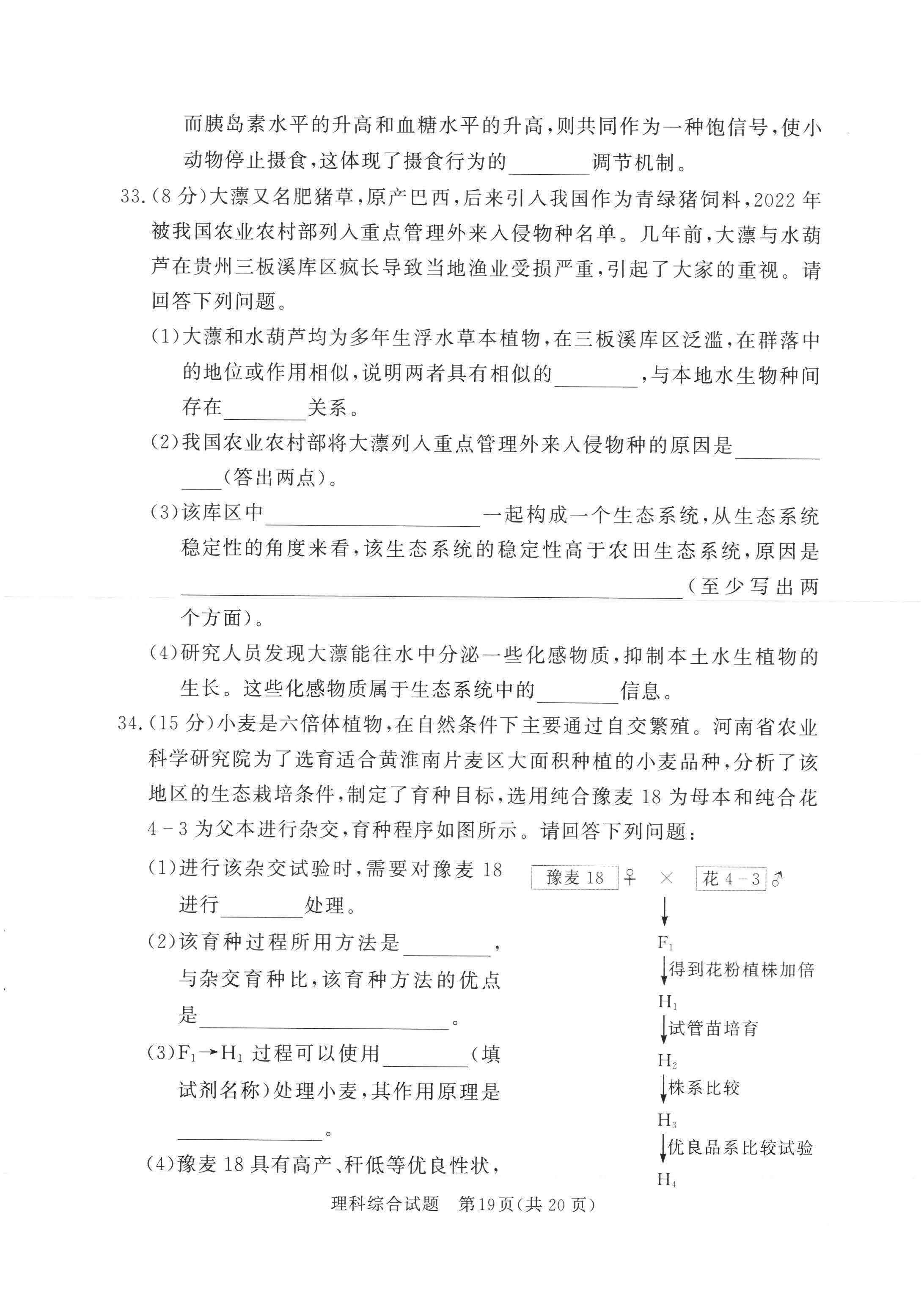 湘豫名校联考2024届高三2月第一次模考理综试题