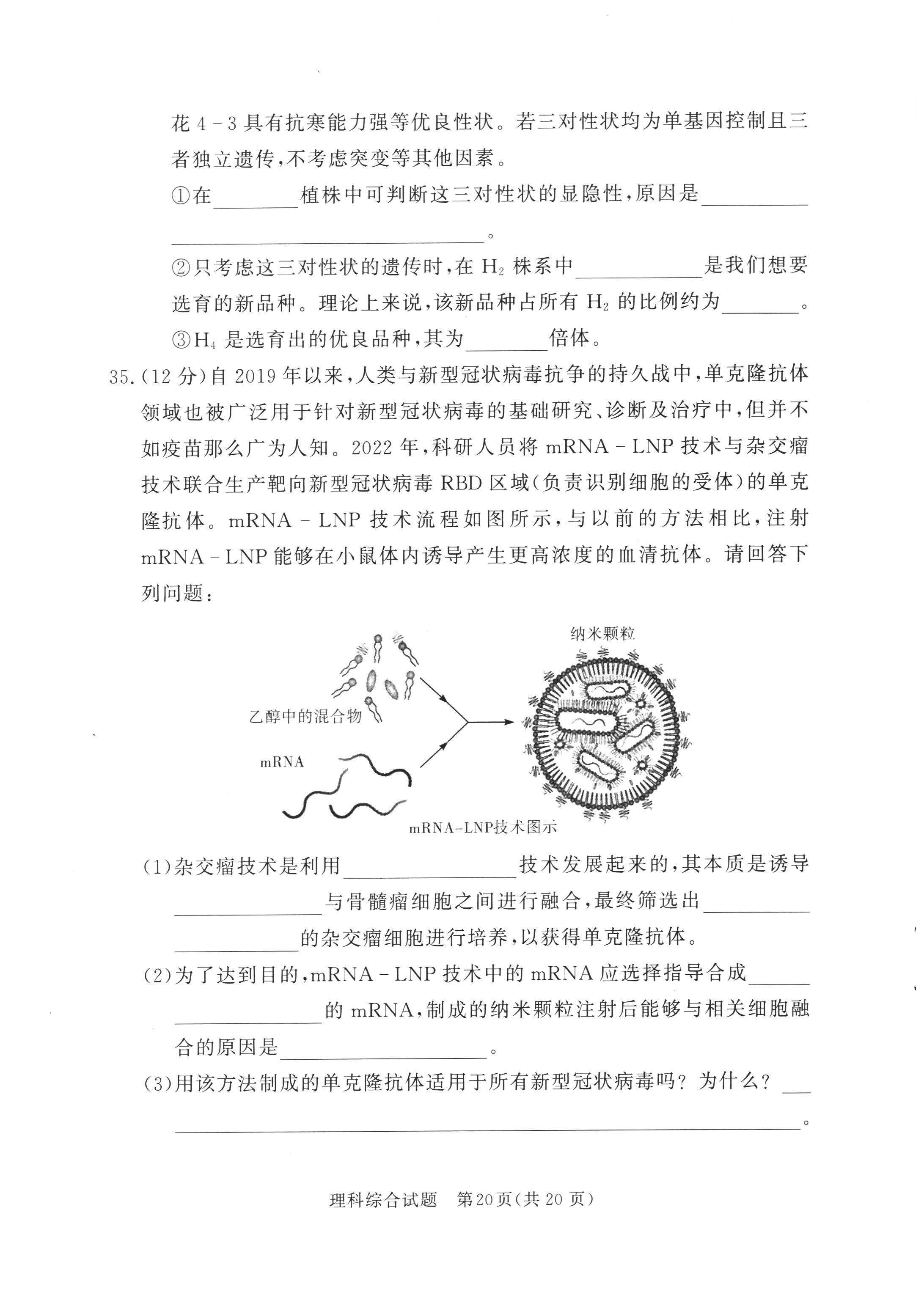 湘豫名校联考2024届高三2月第一次模考理综试题