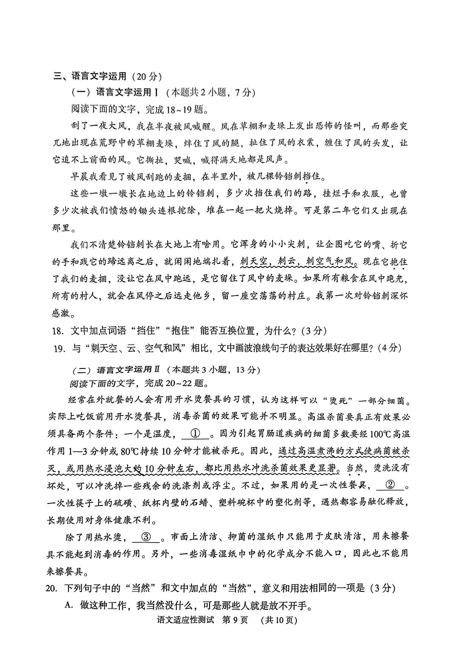河南省2024届高三第二次适应性测试语文试题