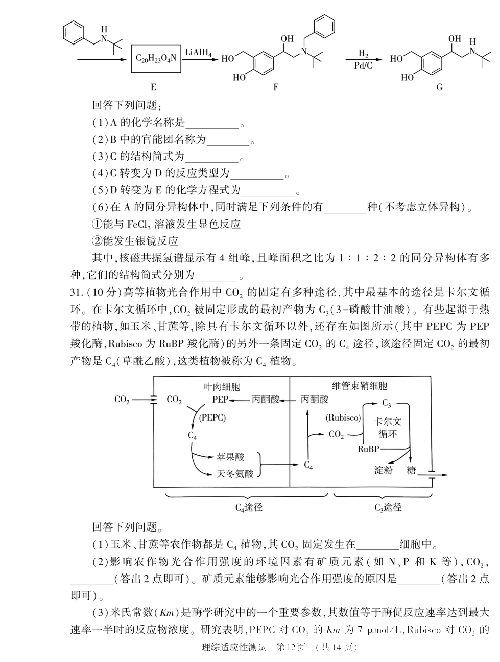 河南省2024届高三第二次适应性测试理科综合试题