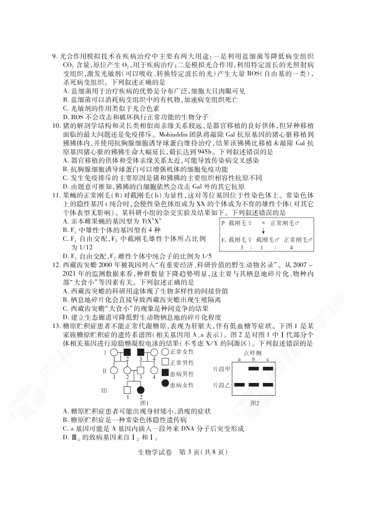 2024年湖北省七市州高三3月联考生物试题