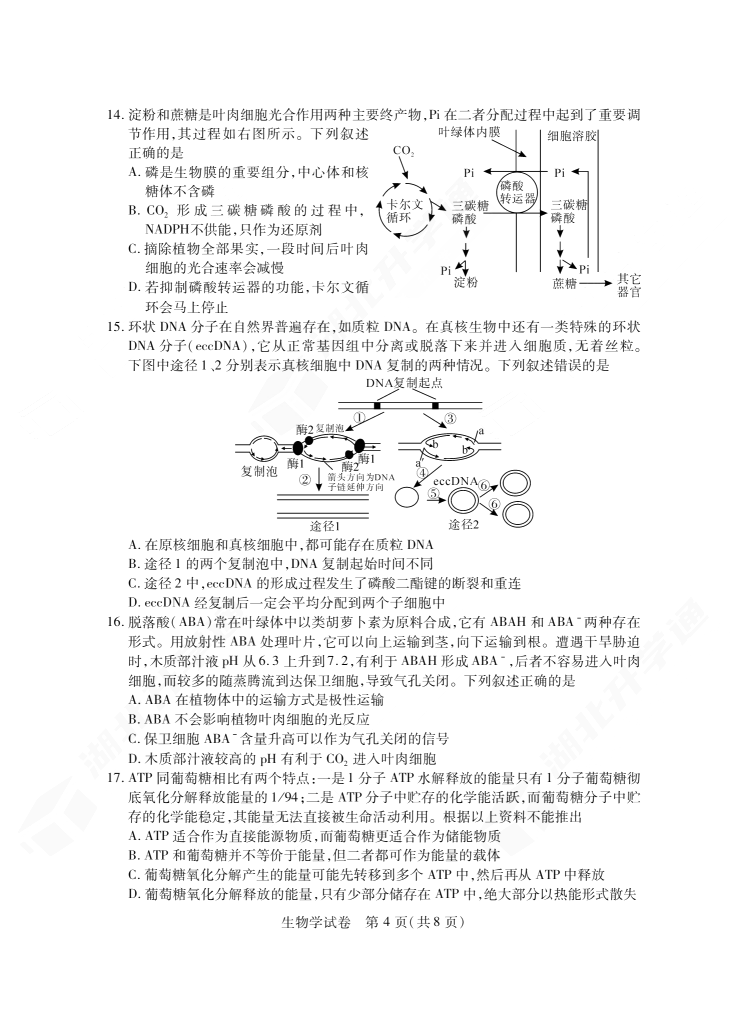 2024年湖北省七市州高三3月联考生物试题