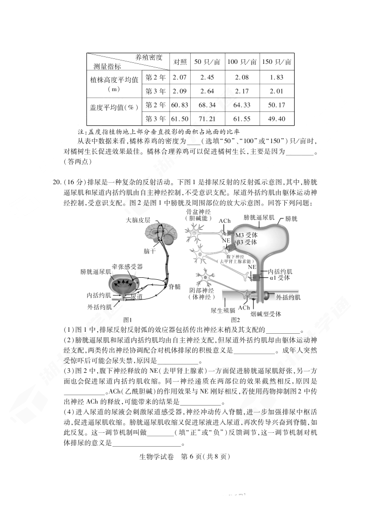 2024年湖北省七市州高三3月联考生物试题
