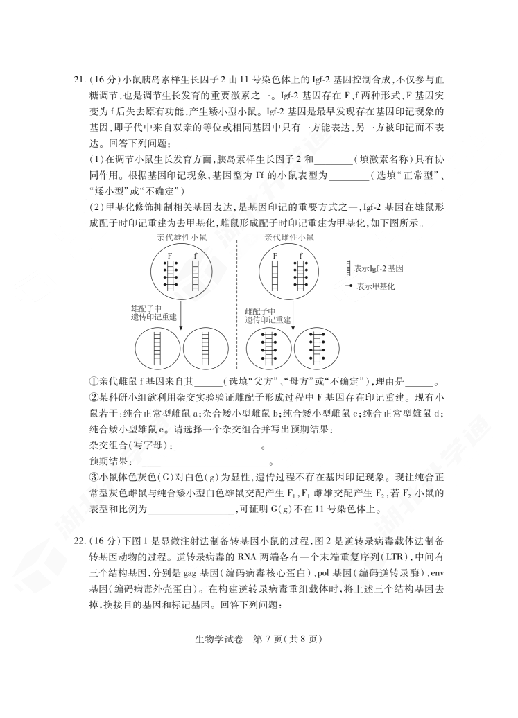 2024年湖北省七市州高三3月联考生物试题