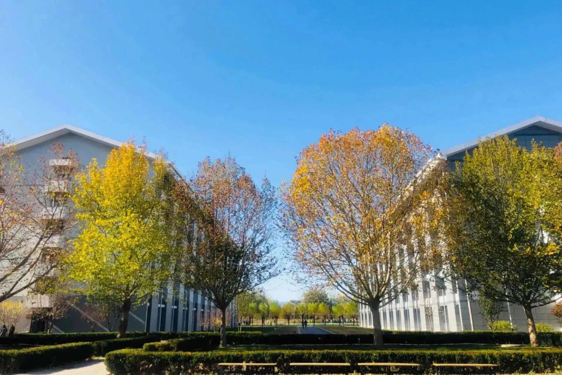 2024年北京卫生职业学院高招自主招生药学专业怎么样