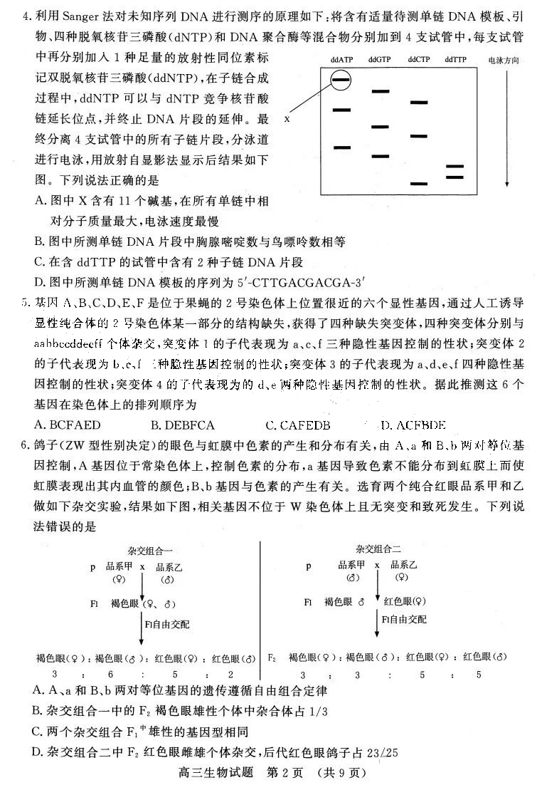 手造华彩耀泉城