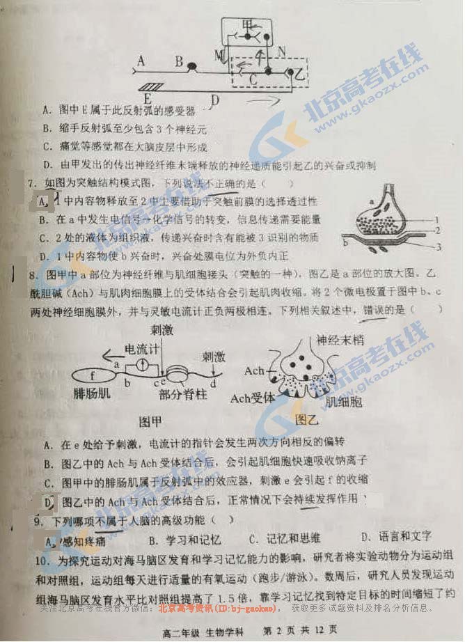 2020学年北京陈经纶中学高二上学期期中生物试题